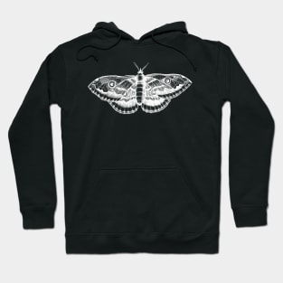 Dramabite Vintage butterfly illustration Hoodie